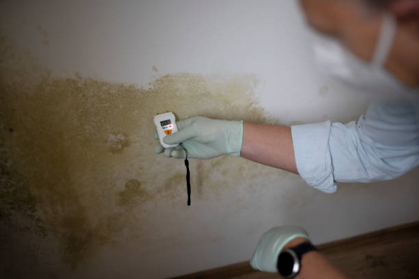 Best Mold Testing  in Moodus, CT